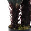 90cm Faux Palm Tree in Planter