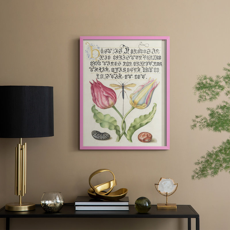 Reproduction encadrée Hoefnagel de spéculations tropicales V - bois massif, H 30 po x l 24 po, Rose