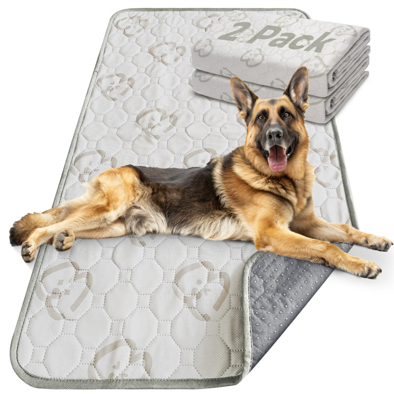 FXW Washable Pee Pads for Dogs, Absorbent Puppy Pads for Cages and Crates, 30 po x 75 po (1 paquet)