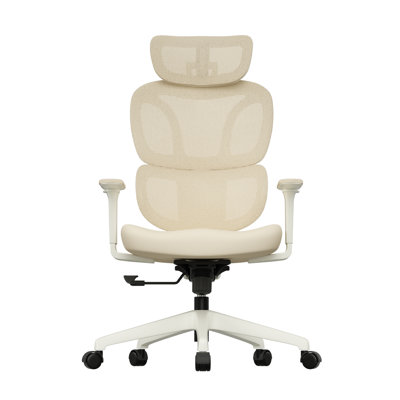 Ergonomic Mesh Task Chair, High Back Office Chair with 3-Level Recline Lock, Task Chair with Adjustable Headrest & Armrest & Backrest, Lumbar Support