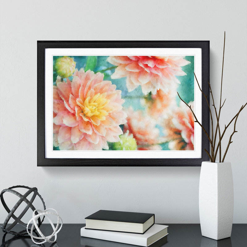 Pale Pink Dahlia Flowers in Bloom - Framed Print, Black Framed, 45cm H x 63cm W x 2cm D