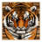 Washable South China Tiger Big Cats Area Rug-126639152