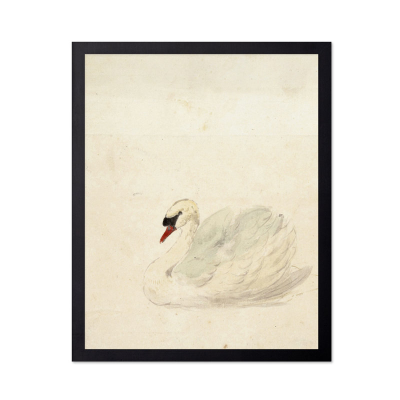 Aert Schouman - Zwaan, Black Framed, Poster, 18"H x 24"W
