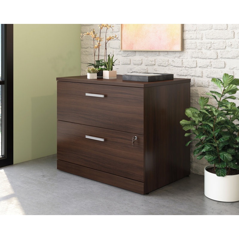 Harriss Lateral File Ua Ne, Noble Elm
