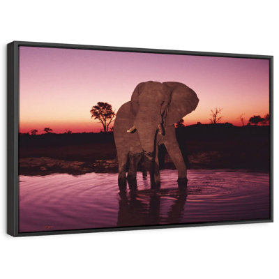 Elephant Sunrise Bathing Canvas Print