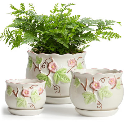 Set Of 3 Round Ceramic Plant Pots With Drainage & Saucers
