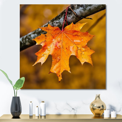 «Canadian Mapple Tree Leaves II», reproduction sur toile