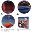 Décoration murale crabe Beachcombers IV - animaux-420137796-420137851