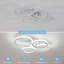 Daizjah 4-Light LED Flush Mount Ceiling Light