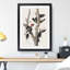 Ivory Billed Woodpeckers by John Audubon - Framed Print-55576171-55576177