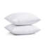 Bourrure de coussin de forme carré-1279610756
