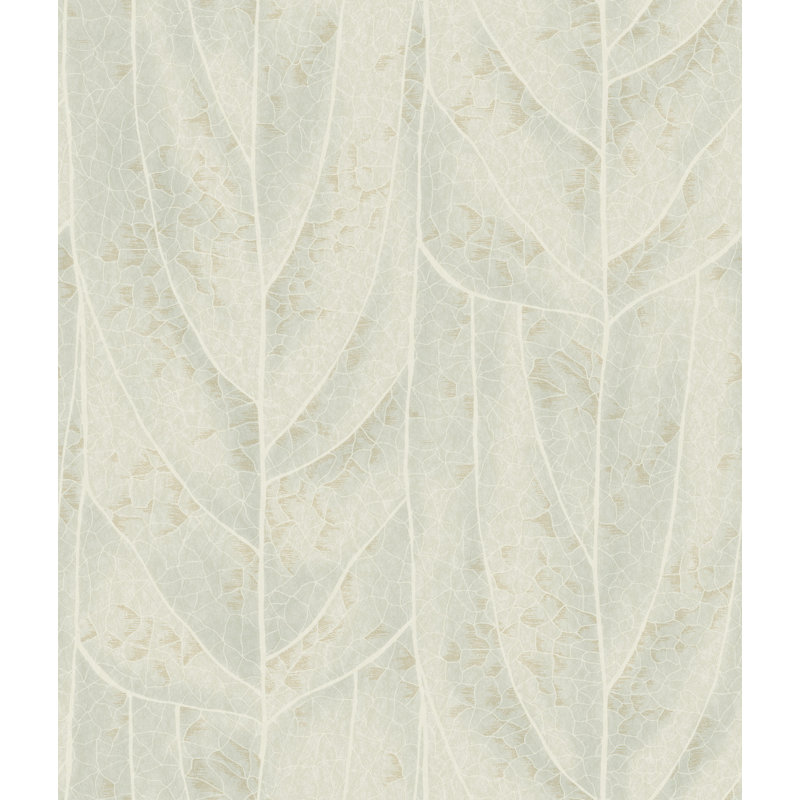 Papier peint Dicot, Vert