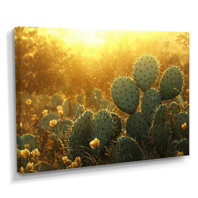 Marisca cactus dans la lumière dorée I - art mural cactus
