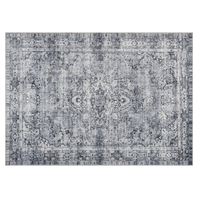 Machine Washable Low-Pile Vintage Rugs With Non-Shedding for Entryway Nursery Bedroom Living Room for Kitchen Bedside Entrance Thick and Soft Durable Easy to Clean
