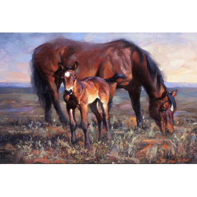 The Bay Filly