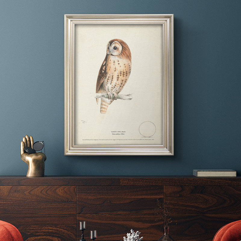 Tawny Owl - Reproduction d'un seul cadre photo sur toile, L 21 po x H 25 po