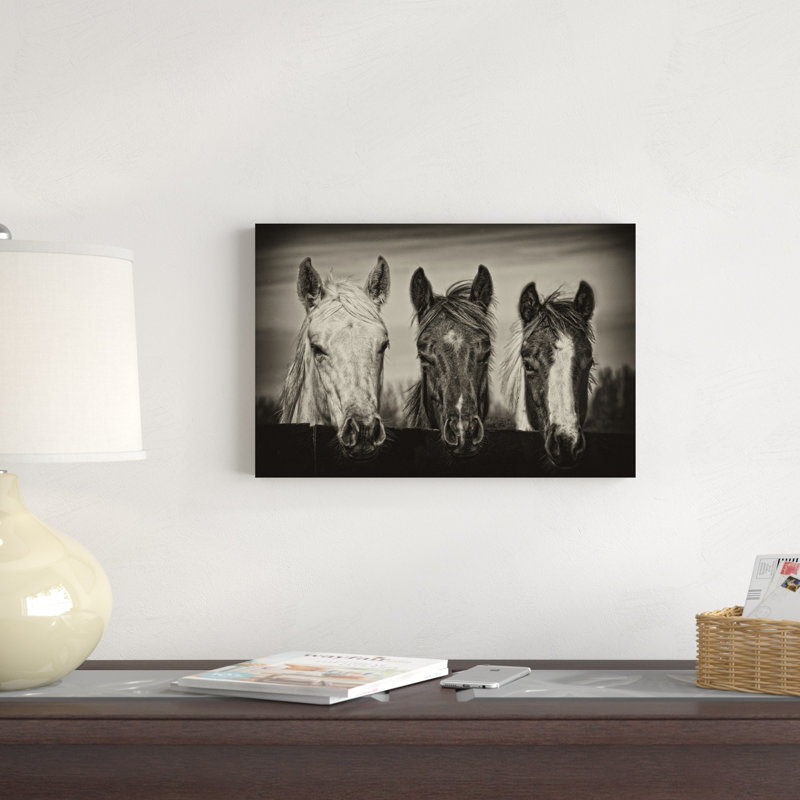 Three Amigos I par P.H. Burchett - Photographie sur toile tendue, H 12 po x l 18 po x P 1,25 po