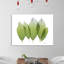 Golden Magnolia Leaf - Wrapped Canvas Print-618254188