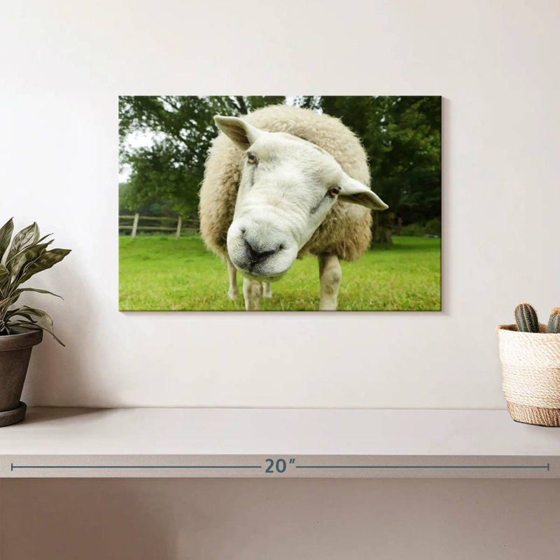 Brampt Nosy Sheep, 8" H x 12" W