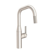 Muncy Single Handle Pull Down Kitchen Faucet