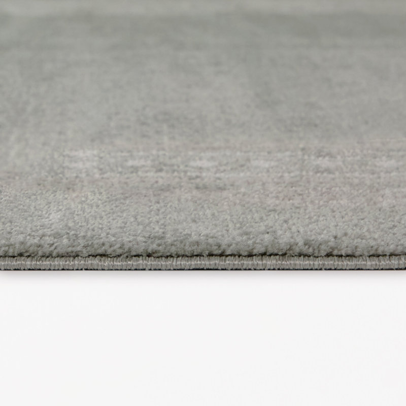 Wilkes Sage Transitional Border Area Rug, 5'3" x 7'