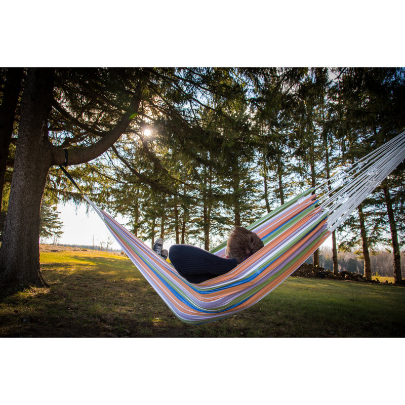 Hamac pour arbre double style Lewes, H 2 po x l 63 po x P 144 po, Rétro