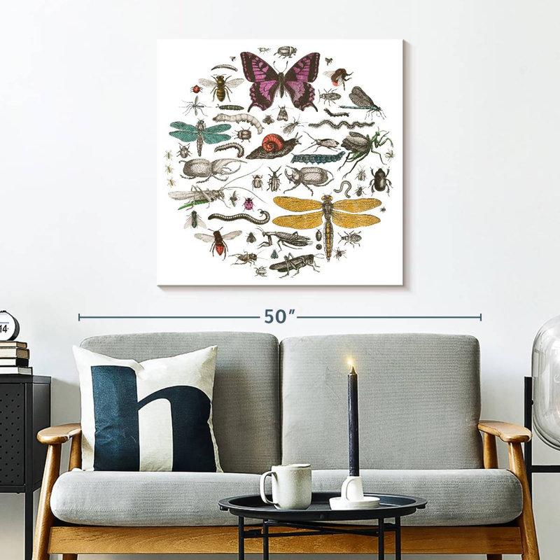 Brampt Insect Circle II Bright, 30" H x 30" W