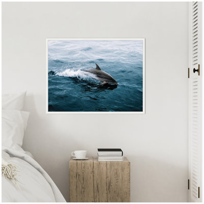 Dolphin Skipping along in the Ocean by Michael Schauer Framed Canvas Wall Art Print