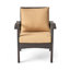 Chaise d'appoint Timeless Elegance, parfaite pour le salon-317007631