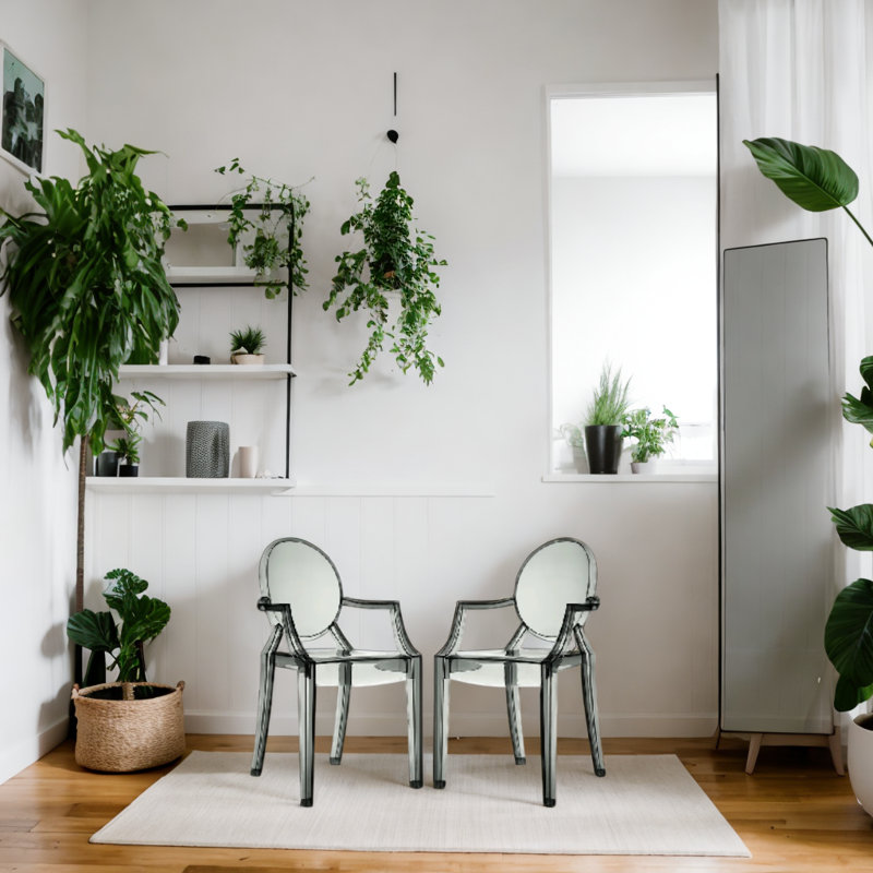 Chaise avec accoudoirs Kaylon Gostyy, Fumée