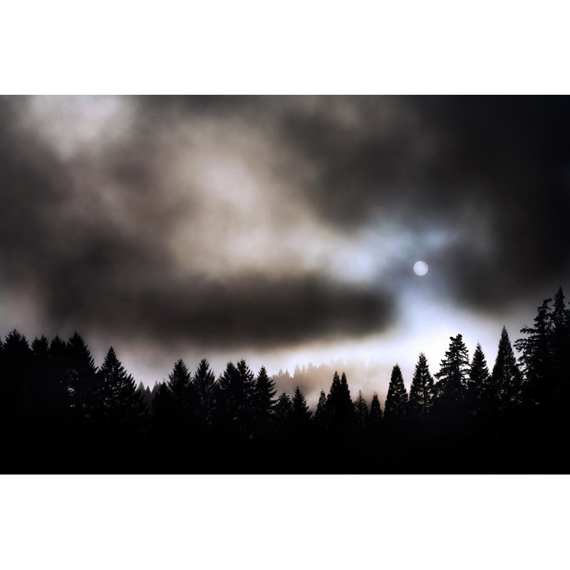 Fogged In - Wrapped Canvas Print, 51cm H x 76cm W x 3.8cm D