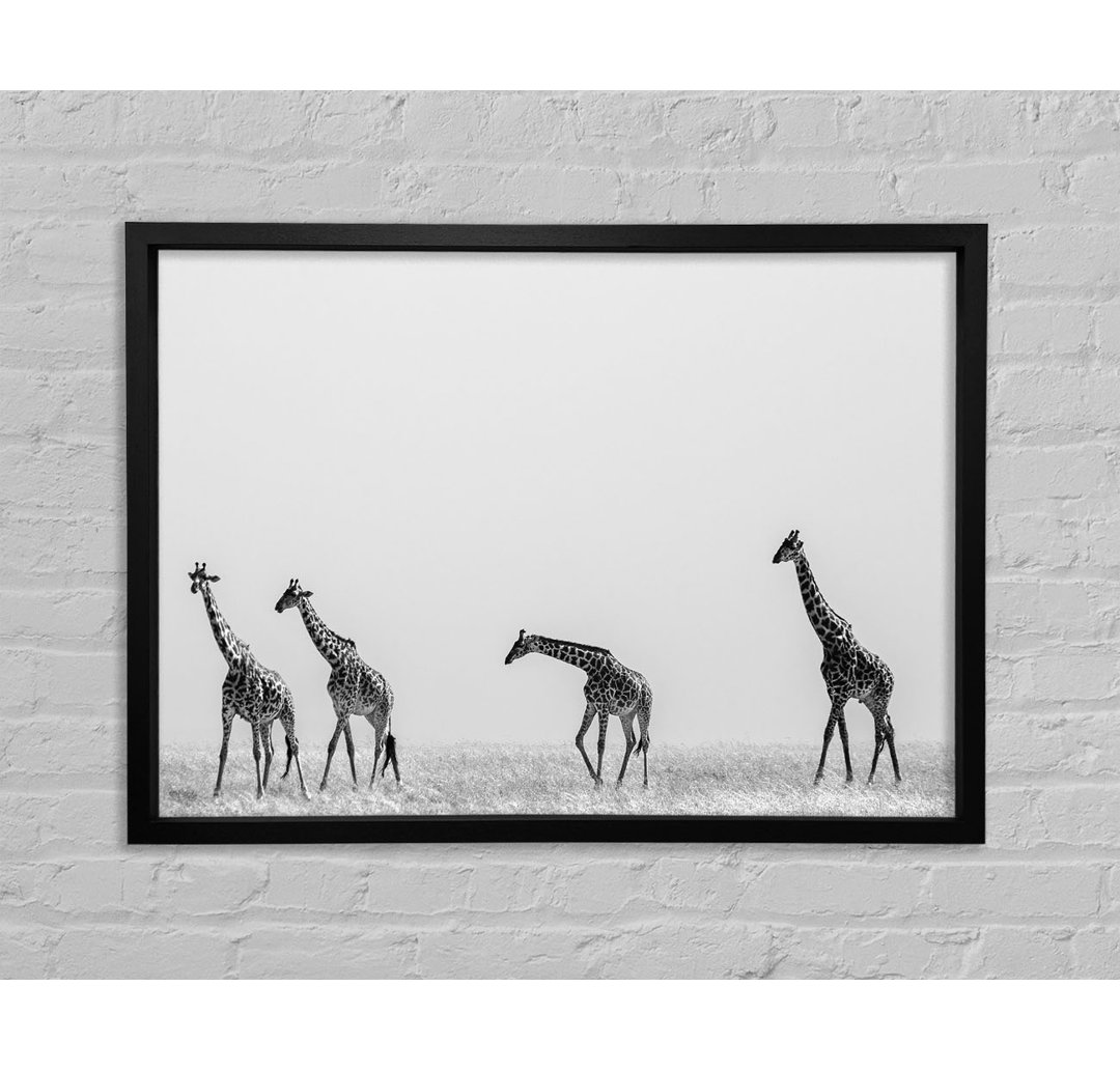 Giraffe Safari Lineup - Einzelne Bilderrahmen Kunstdrucke auf Leinwand