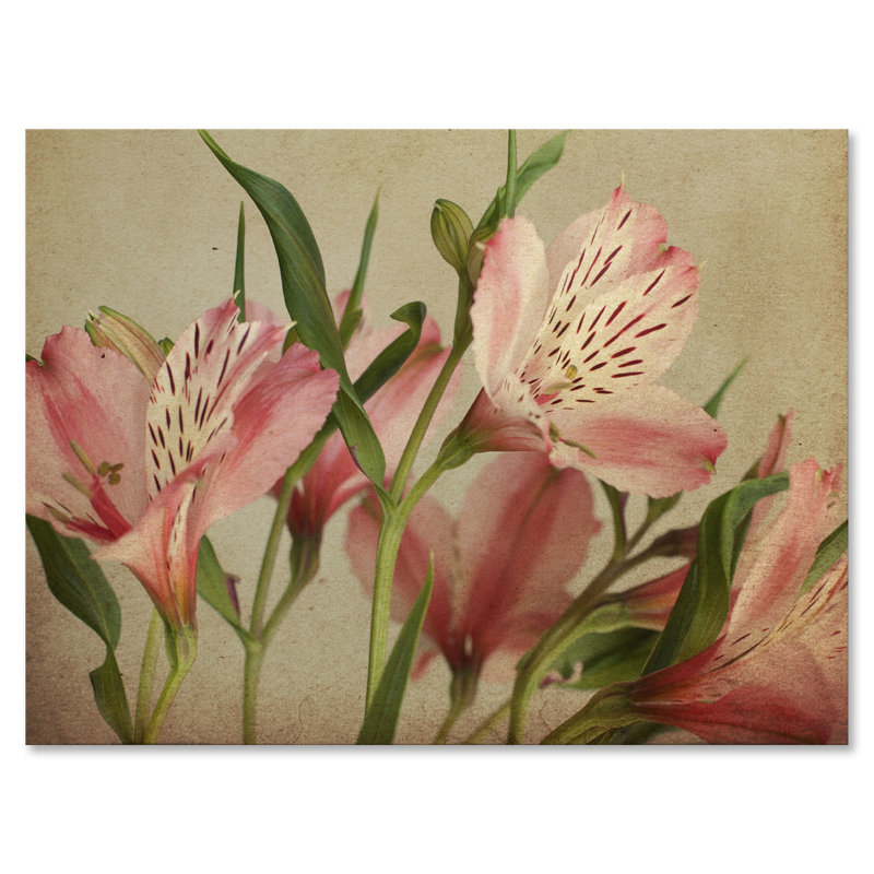 «Retro Alstroemeria Flower», impression sur toile, Toile tendue, H 24 po x l 32 po x P 1 po