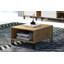 Aneesh Coffee Table with Storage