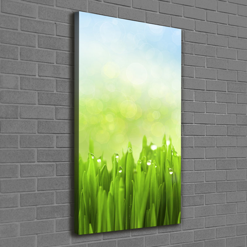 Grass - Wrapped Canvas Print