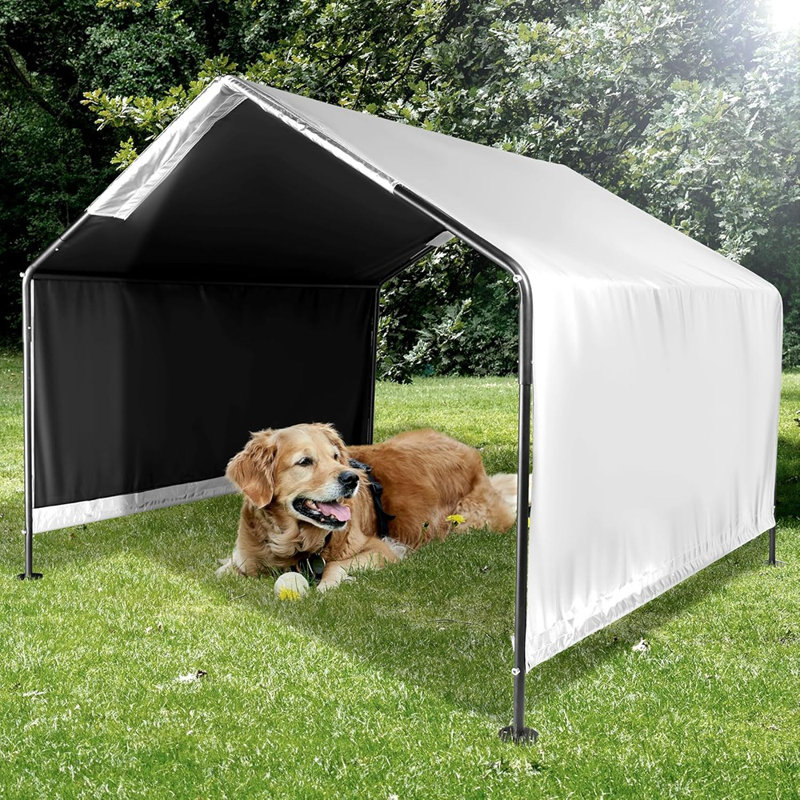 Abri pour chien, tente d'extérieur en métal pour chien
