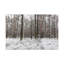 No Frame Print on Canvas-2128236313