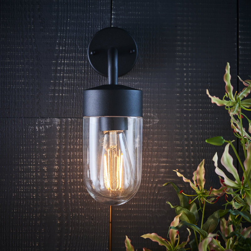 Myla 21cm H Outdoor Wall Lantern, Black