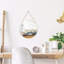 Miroir Savien-78182716