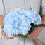 Hortensia Laidley-884635535