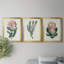Protea N13 - Ensemble de 3 reproductions d'art-610855370-610503990