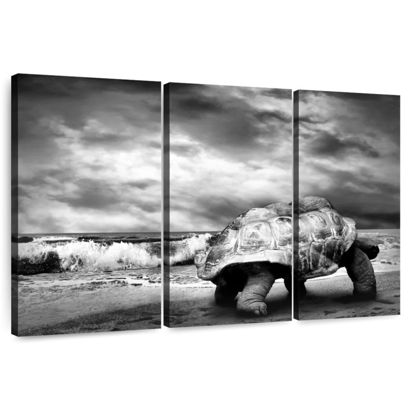 Tortue géante BW, H 36 po x l 57 po