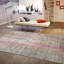 Oriental Area Rug