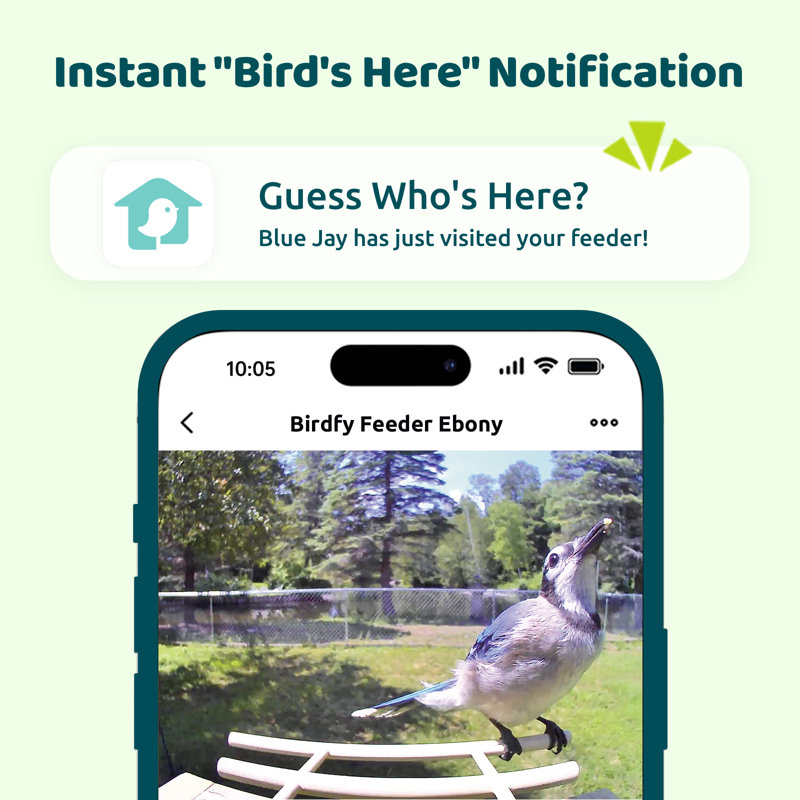 Mangeoire d'oiseaux avec caméra Birdfy Smart