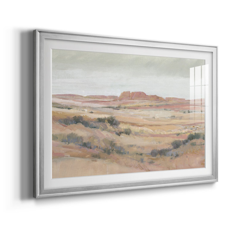 Southwest Landscape - reproduction de cadre photo, L 42,5 po x H 30,5 po, Argent