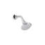 Script™ Showerhead with Arm-29488188