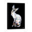 « larry, black background », impression sur toile-31841043-73219717-73219718