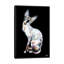 « larry, black background », impression sur toile-31841044-73219717-73219718