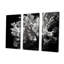 Ensemble de décorations murales noir et blanc Anemone Reef III - Corail sous l'eau-107733922-107733925