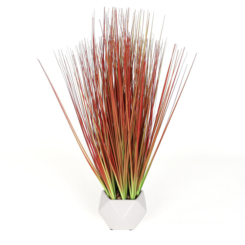Fausse herbe à oignon en pot 22,5 po Bornbridge, Rouge